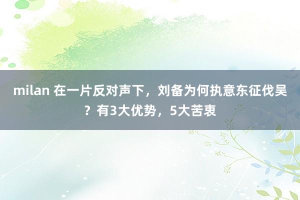 milan 在一片反对声下,刘备为何执意东征伐吴?有3大优势,5大苦衷